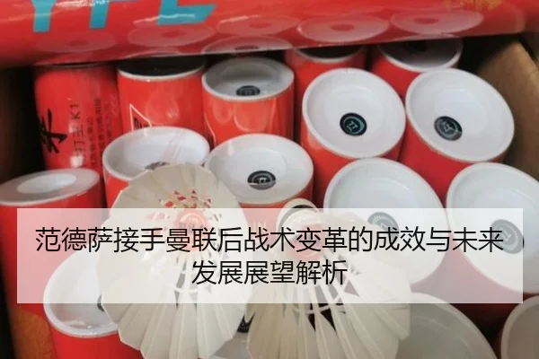 范德萨接手曼联后战术变革的成效与未来发展展望解析