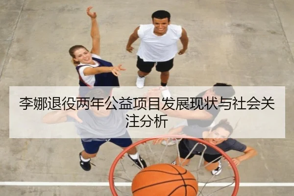 李娜退役两年公益项目发展现状与社会关注分析