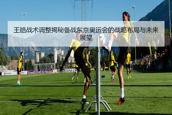 王皓战术调整揭秘备战东京奥运会的战略布局与未来展望