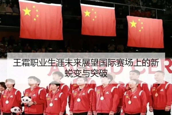 王霜职业生涯未来展望国际赛场上的新蜕变与突破