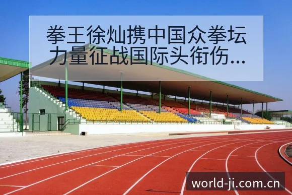 拳王徐灿携中国众拳坛力量征战国际头衔伤病恢复对赛程影响 - 极直播